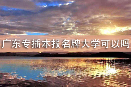 廣東專插本報名牌大學可以嗎